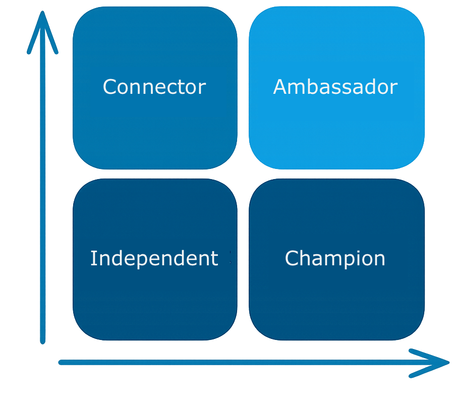 Network Roles Visualization